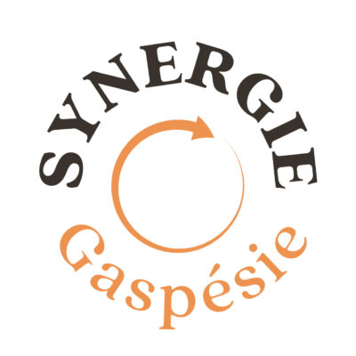 logo-synergie