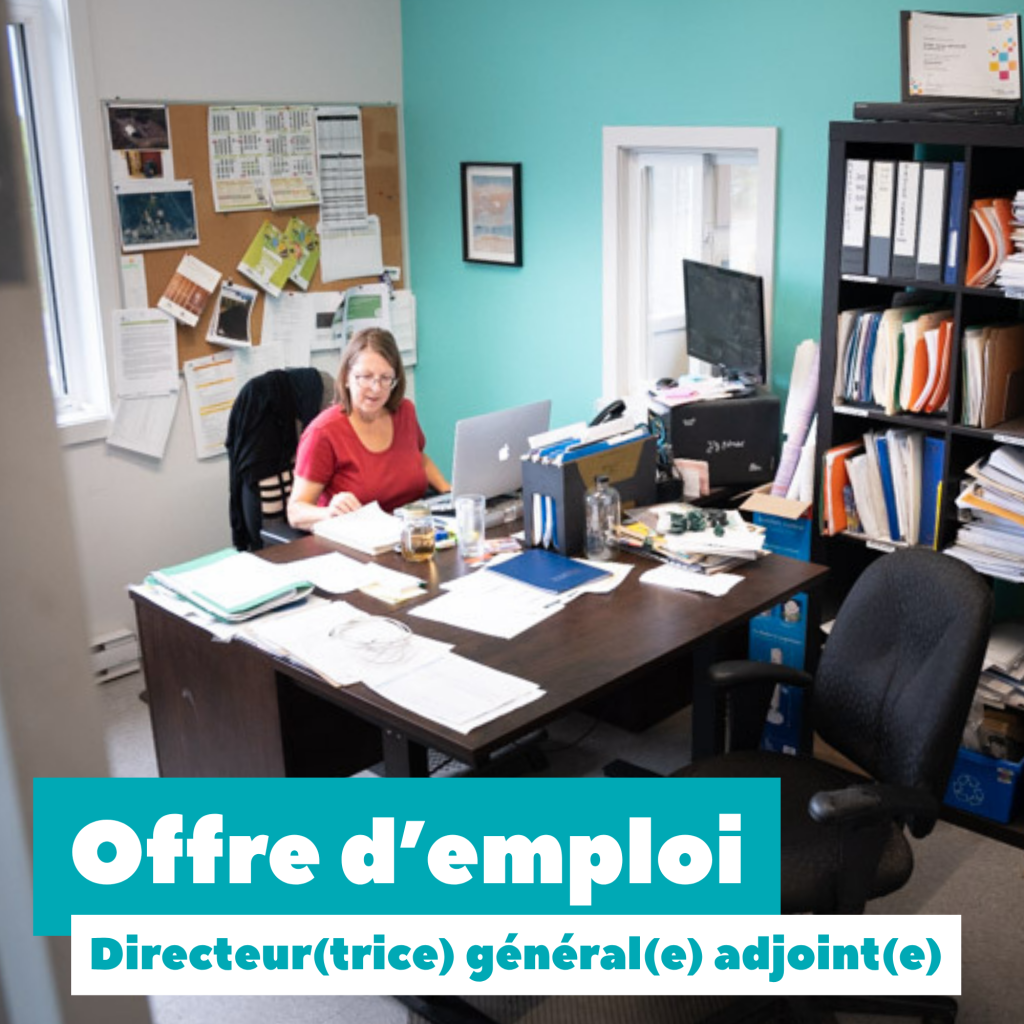 Offre d'emploi - Directeur(trice) général(e) adjoint(e)